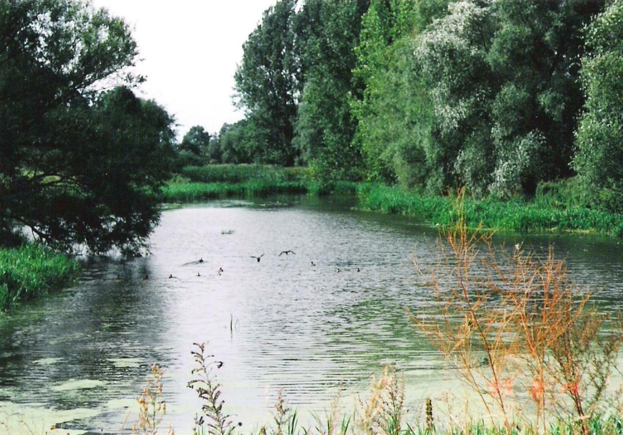 Star Camp Cosa, Ferienwohnungen, Camping, Schlaffaesser Friedland  외부 사진